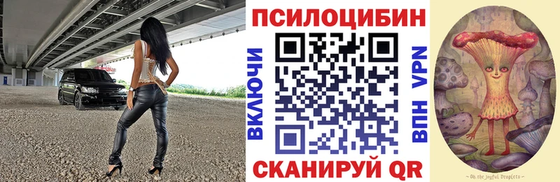 Купить где  Каневская  Псилоцибиновые грибы Psilocybe 